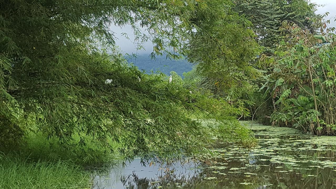 Hospedaje La Galerie Ciudad Cortés Zewnętrze zdjęcie